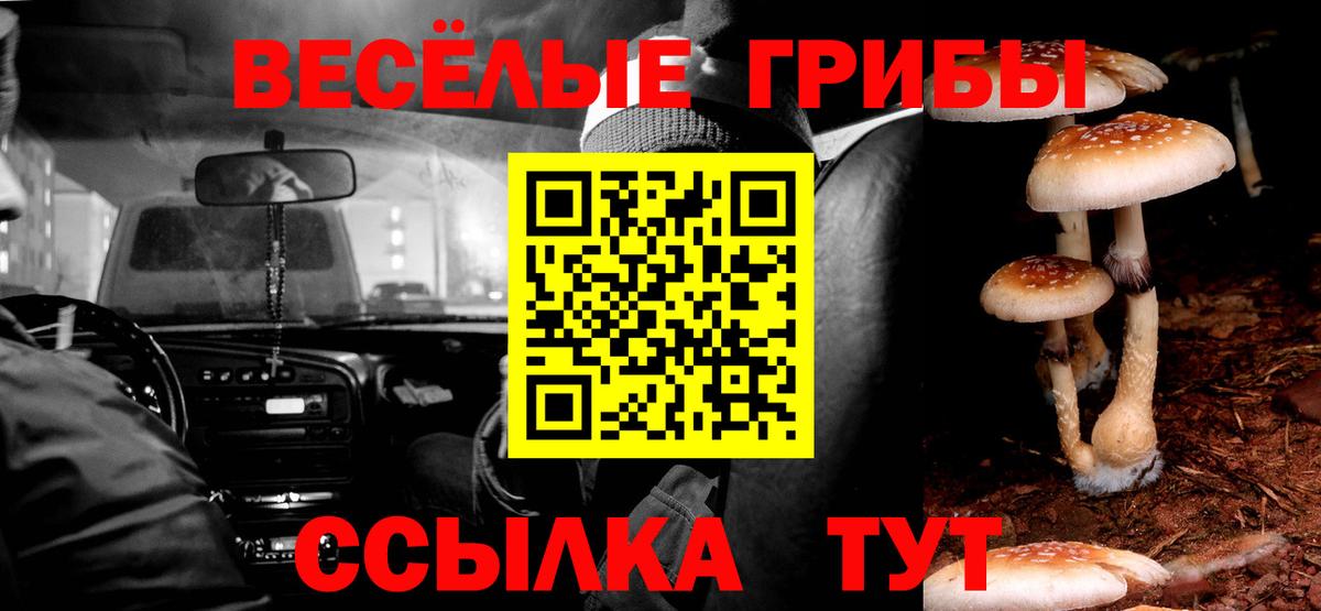 наркота  Вход с VPN  Бор  Галлюциногенные грибы Magic Shrooms  Псилоцибиновые грибы Psilocybine cubensis 
