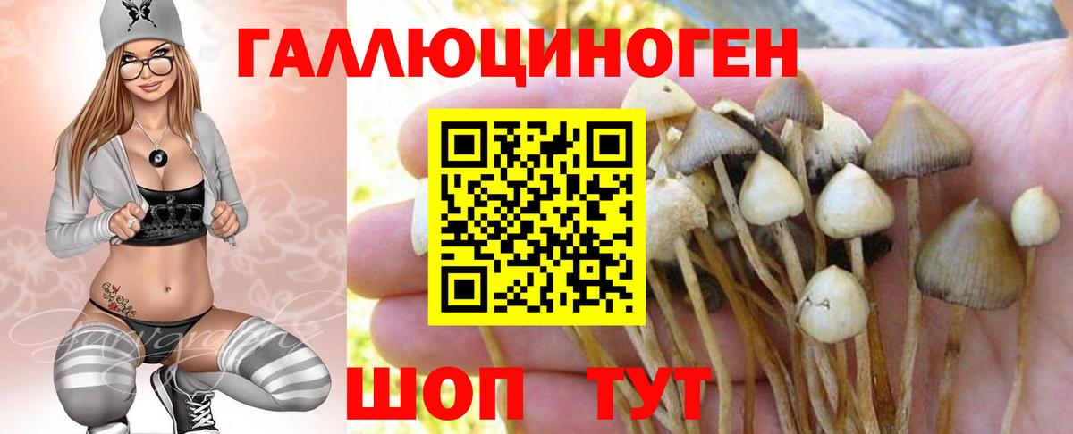 Галлюциногенные грибы MAGIC MUSHROOMS Бор